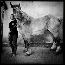 photo by Wena Poon photo by Wena Poon