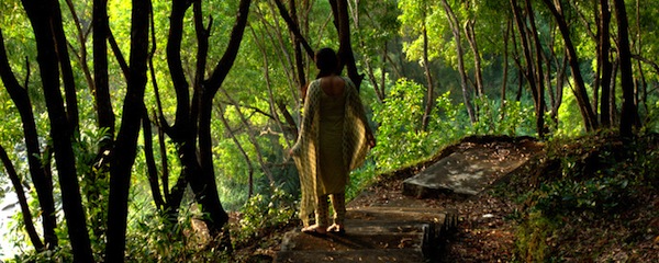 Stories of the Magical and the Real