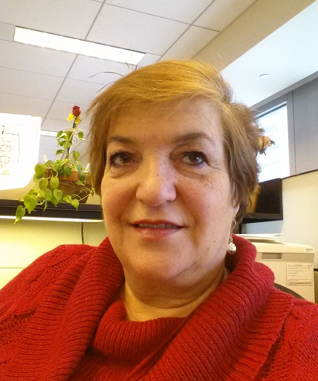 contrib_dora-dagostino