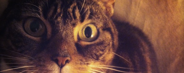 Short-Short Stories with Big-Big Impact